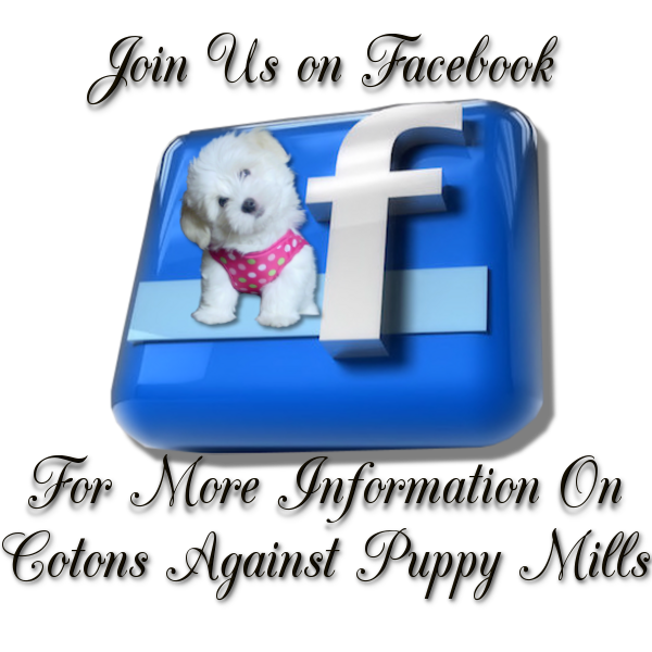 Join us on Facebook