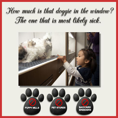 Cotons against puppy mills